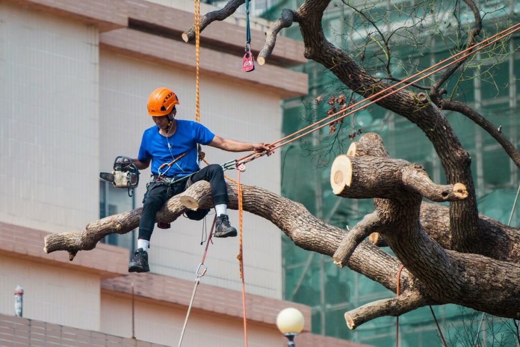 baudrier-homme-sécurité-casque-lunettes-arbre